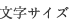 文字サイズ