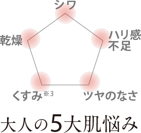 大人の5大肌悩み シワ ハリ不足 ツヤのなさ くすみ※3 乾燥